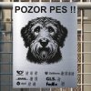 Pozor tady hlídám já - Otterhound - pozor pes!!!