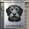 Pozor tady hlídám já - Otterhound - pozor pes!!!