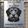 Pozor tady hlídám já - Otterhound - pozor pes!!!