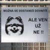 Pozor tady hlídám já - Pomeranian - pozor pes!!!