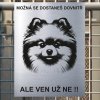 Pozor tady hlídám já - Pomeranian - pozor pes!!!