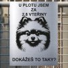 Pozor tady hlídám já - Pomeranian - pozor pes!!!