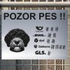 Pozor tady hlídám já - Portugalský vodní pes - pozor pes!!!
