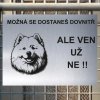 Pozor tady hlídám já - Samojed - pozor pes!!!