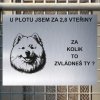 Pozor tady hlídám já - Samojed - pozor pes!!!