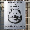 Pozor tady hlídám já - Samojed - pozor pes!!!
