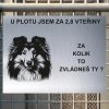 Pozor tady hlídám já - Sheltie - pozor pes!!!