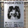 Pozor tady hlídám já - Sheltie - pozor pes!!!