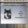 Pozor tady hlídám já - Shiba inu - pozor pes!!!