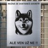 Pozor tady hlídám já - Shiba inu - pozor pes!!!
