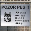 Pozor tady hlídám já - Shiba inu - pozor pes!!!