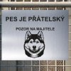 Pozor tady hlídám já - Sibiřský husky - pozor pes!!!