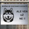 Pozor tady hlídám já - Sibiřský husky - pozor pes!!!