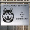 Pozor tady hlídám já - Sibiřský husky - pozor pes!!!