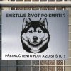 Pozor tady hlídám já - Sibiřský husky - pozor pes!!!