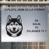 Pozor tady hlídám já - Švédský vallhund - pozor pes!!!