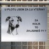 Pozor tady hlídám já - Whippet - pozor pes!!!