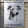 Pozor tady hlídám já - Whippet - pozor pes!!!