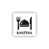 PIC KANTYNA BILA BR