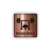 PIC POSILOVNA BRONZ RA