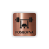 PIC POSILOVNA BRONZ BR