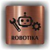 Robotika (Barva podkladu Bronz, Rámeček Bez rámečku, Velikost 200x200)