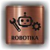 Robotika (Barva podkladu Bronz, Rámeček S rámečkem, Velikost 200x200)
