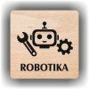 Robotika (Barva podkladu Buk, Rámeček Bez rámečku, Velikost 200x200)