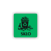 PIC SKLO ZELENA BR