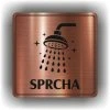Sprcha 2 (Barva podkladu Bronz, Rámeček S rámečkem, Velikost 200x200)