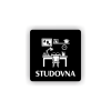 PIC STUDOVNA CERNA BR
