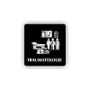 PIC TRAUMATOLOGIE CERNA BR
