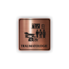 PIC TRAUMATOLOGIE BRONZ RA