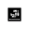 PIC TRAUMATOLOGIE CERNA RA