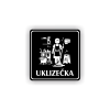 PIC UKLIZECKA CERNA RA
