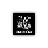 PIC UKLIZECKA CERNA BR