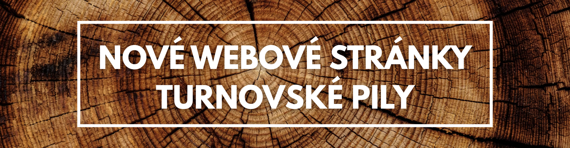 Nové webové stránky