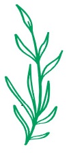 Logo_kytička_ležatá