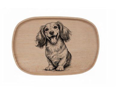 Jezevčík dlouhosrstý 1