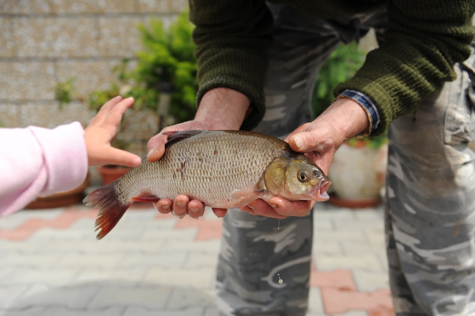Nabídka pro sladkou vodu