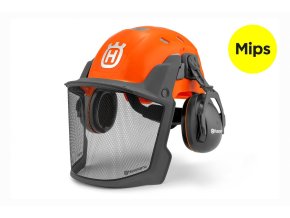 TECHNICAL MIPS 1