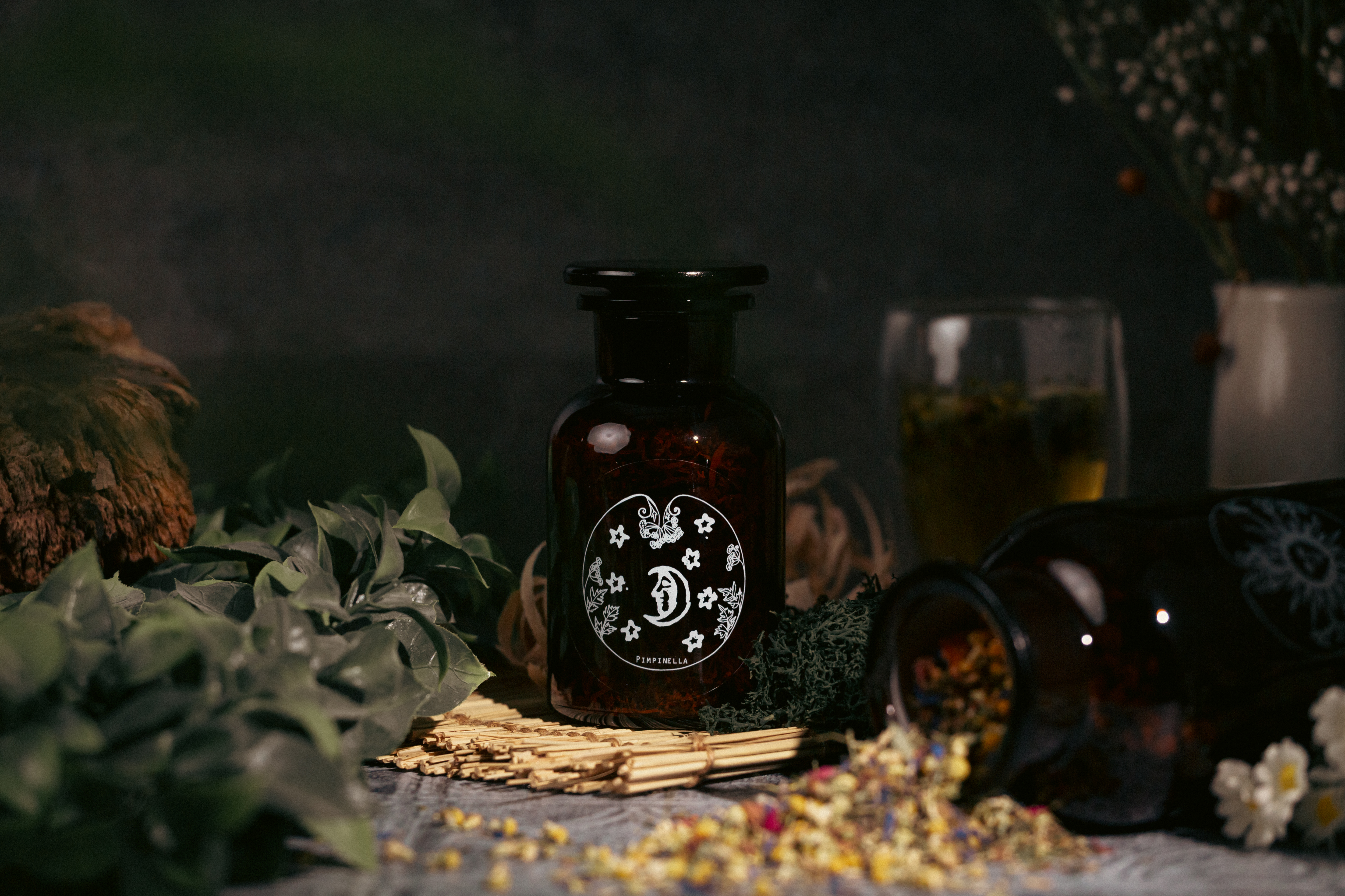 Bejkit-26-01-Pimpinella14674