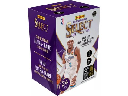 2024 25 panini select nba basketball blaster box