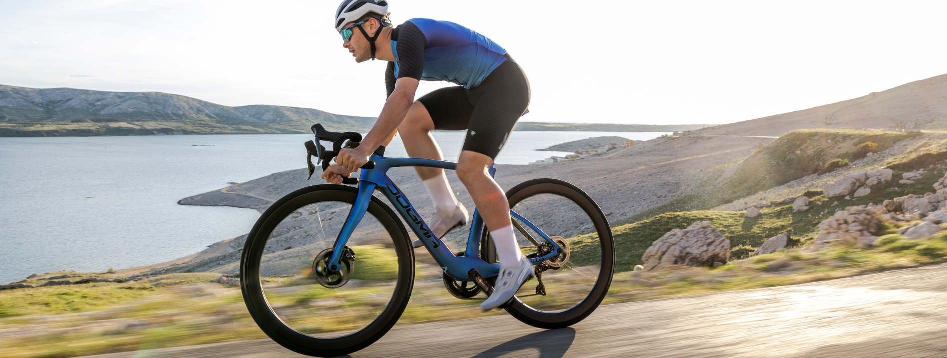 Dogma F 2025