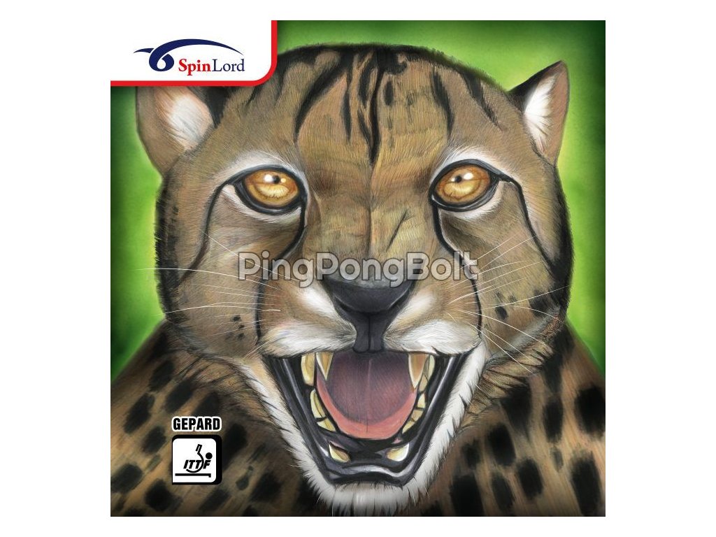 Borítás SpinLord Gepard (Borítás szín piros / RED, Szivacs vastagság 2,0 mm)