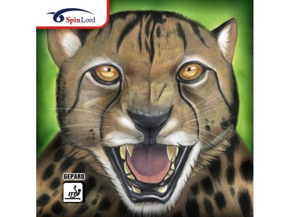 Borítás SpinLord Gepard (Borítás szín piros / RED, Szivacs vastagság 2,0 mm)