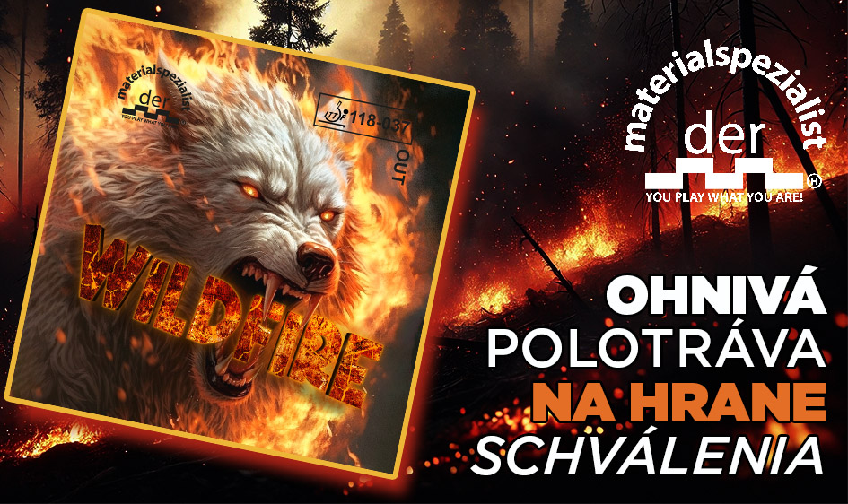 Wildfire
