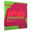 1100021093 AND RASANTER R45 3D rot