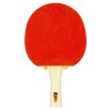 FUN Orange Ed bat front[1]