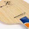 andro holz Achanta3